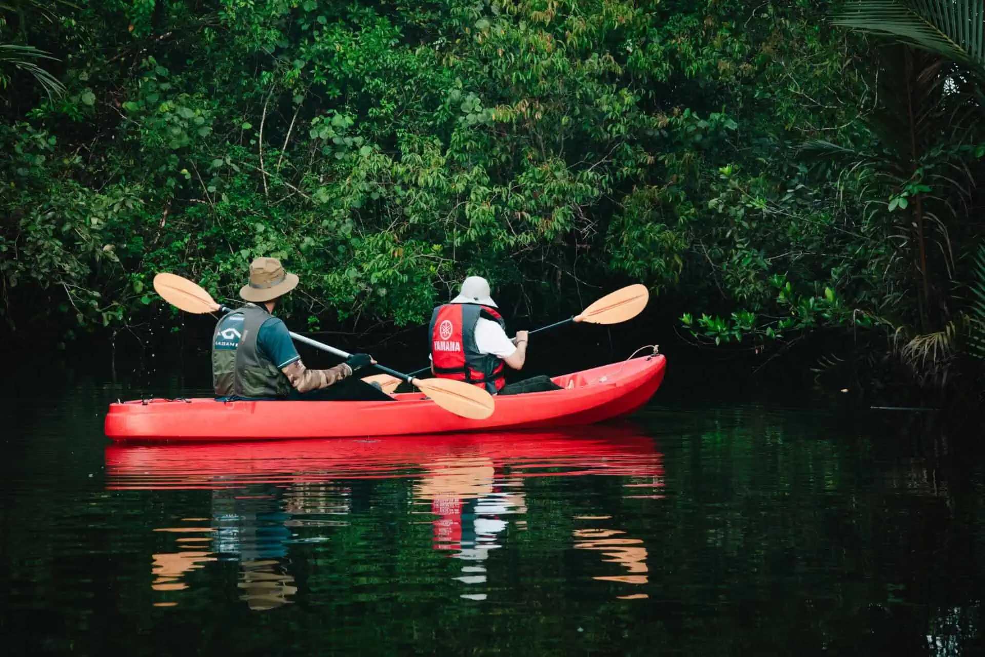 Guests kayaking through mangrove forests near Canvas & Orchids Retreat in Koh Kong, Cambodia